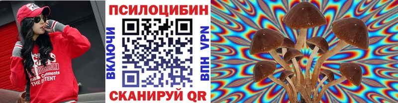 Псилоцибиновые грибы Cubensis Яровое